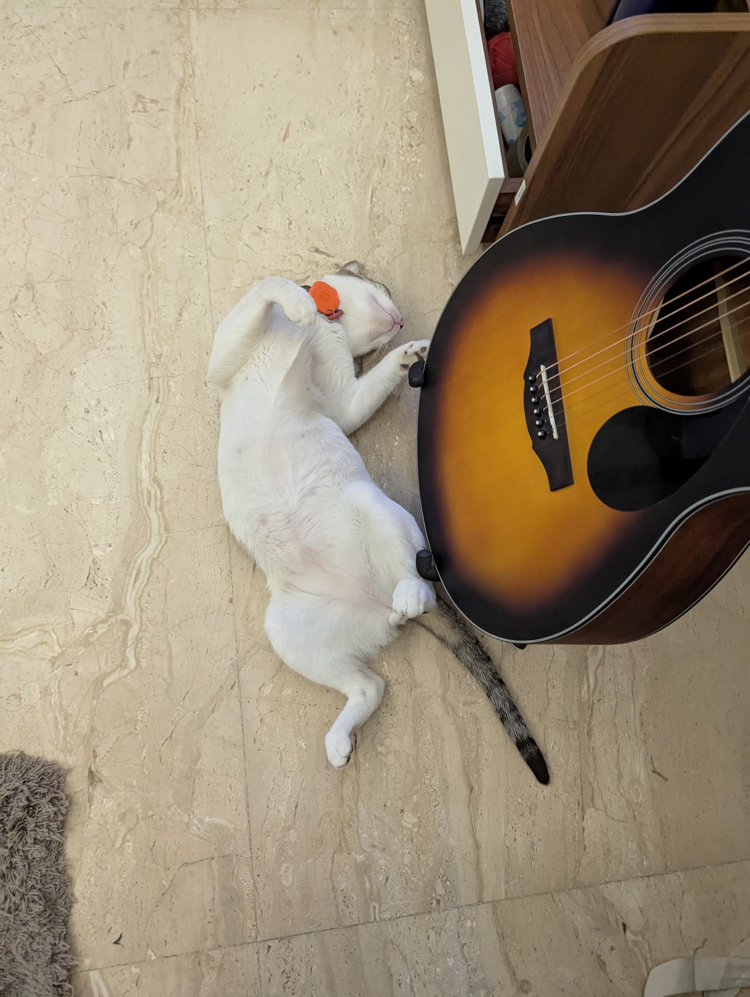 Guitar