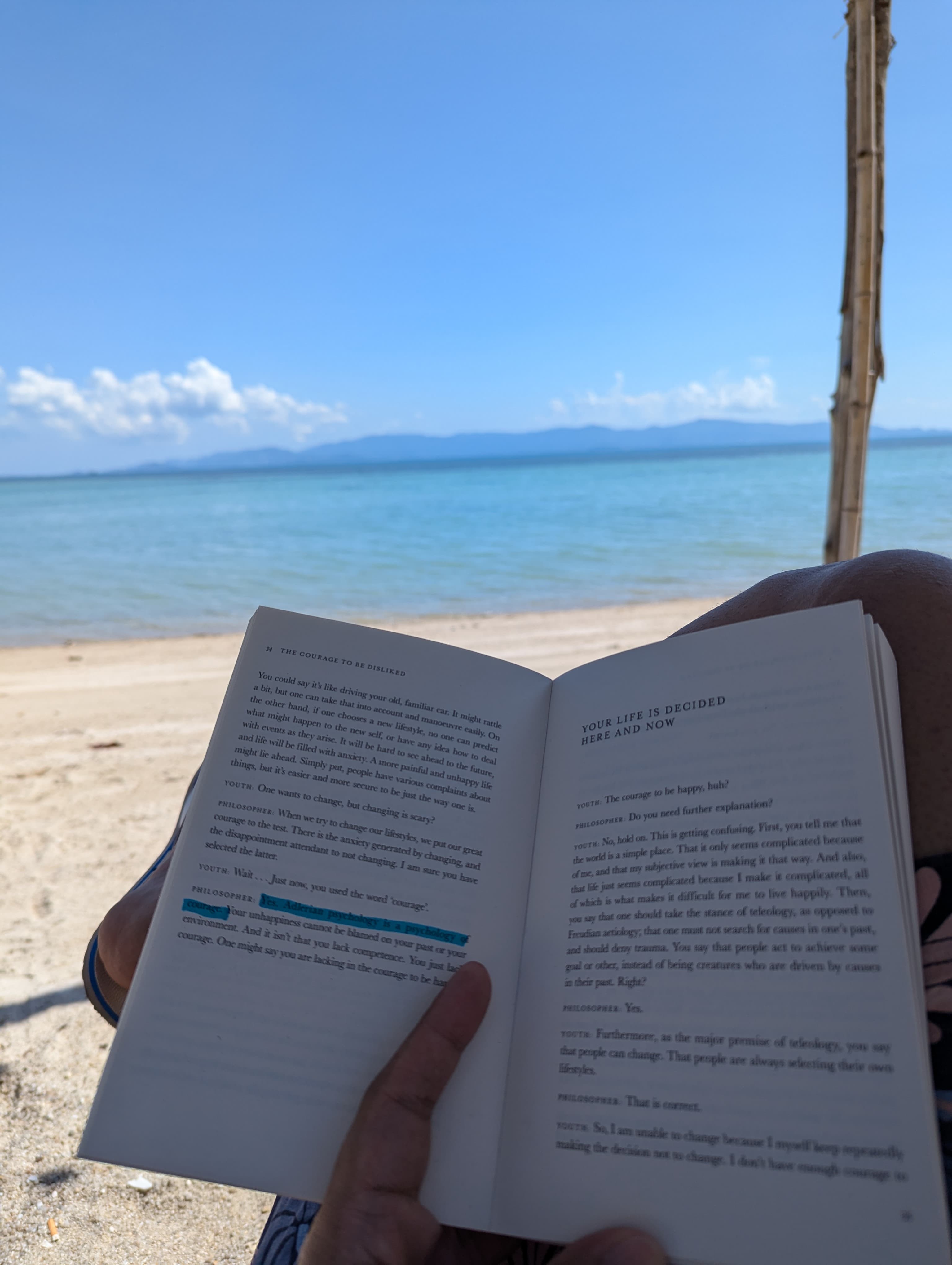 Reading